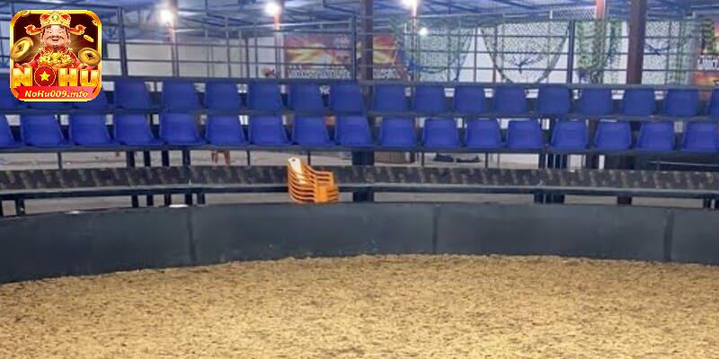 Trường Gà Savan - Nơi Hội Tụ Trận Đấu Gà Nổi Tiếng, Đỉnh Cao 3 Lộ trình xem trực tiếp tại địa chỉ Trường gà Savan bên Lào